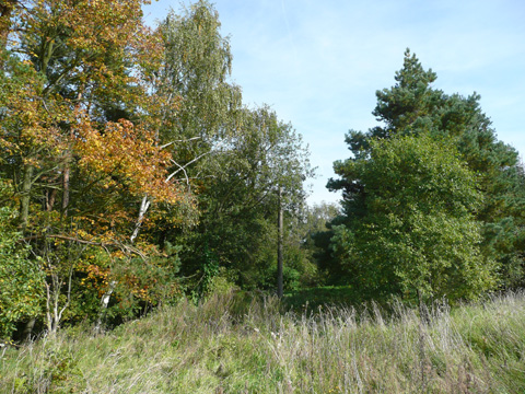 Foto 19
